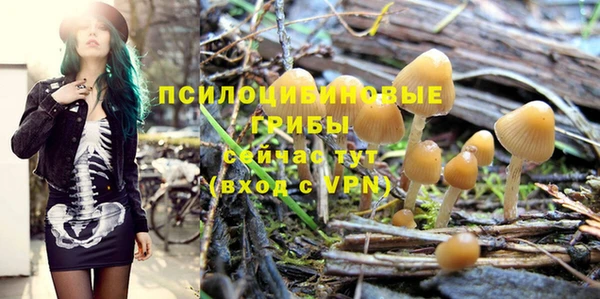 каннабис Зеленокумск