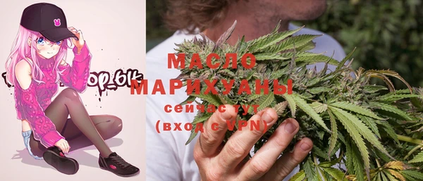 индика Зерноград