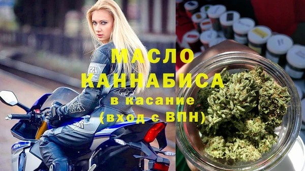 индика Зерноград