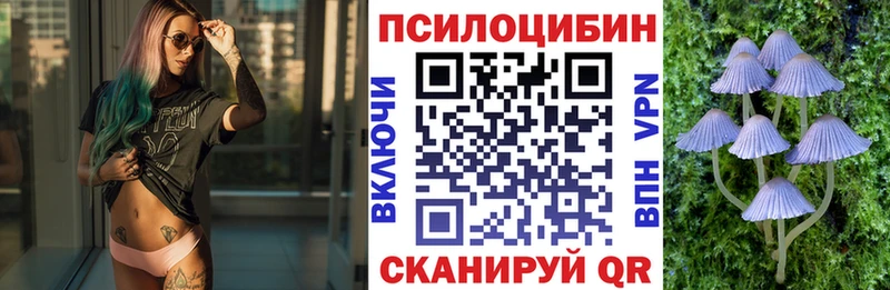 Купить где  Белоусово  Псилоцибиновые грибы Psilocybine cubensis 